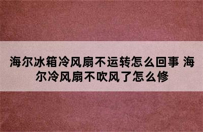 海尔冰箱冷风扇不运转怎么回事 海尔冷风扇不吹风了怎么修